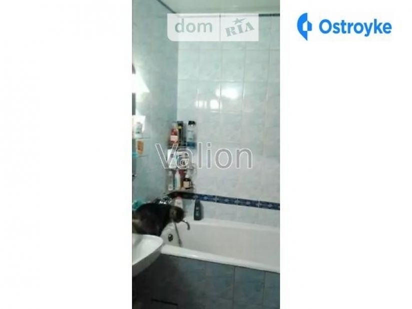 Фото 9 Продажа Квартир Победы просп.