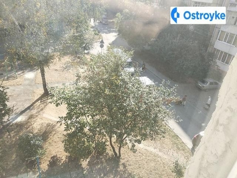 Фото 4 Продажа Квартир Довженко Александра улица