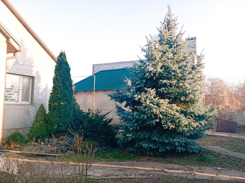 Фото 12 Продажа Квартир Продаж 1 поверхового будинку з гаражем і ділянкою на 10 соток в м. Баштанка