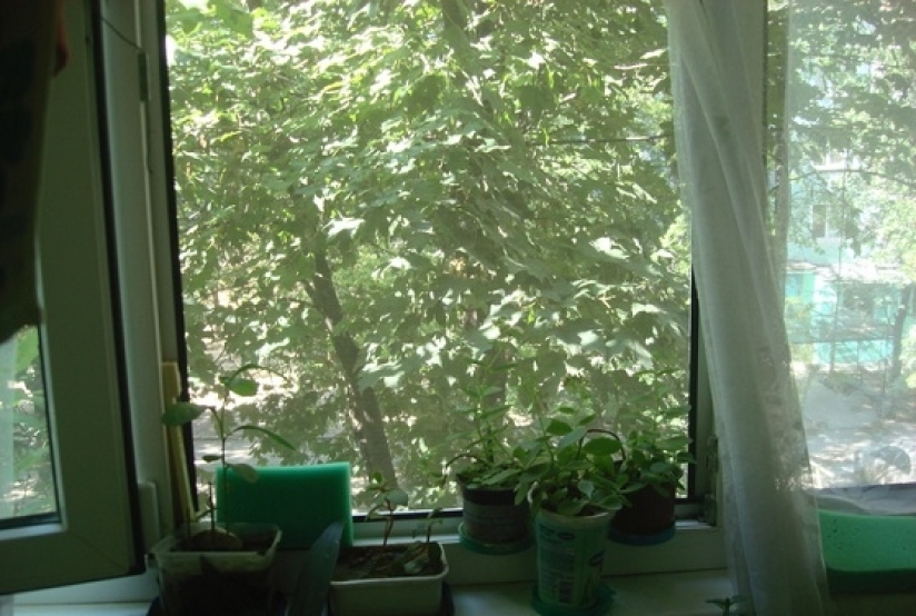 Фото 2 Продажа Квартир Продам 2-х комн. квартиру по ул.Сытова