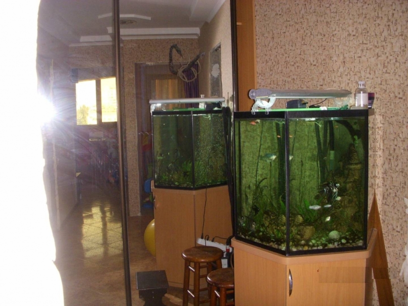 Фото 2 Продажа Квартир Продам двухкомнатную квартиру в Суворовском районе