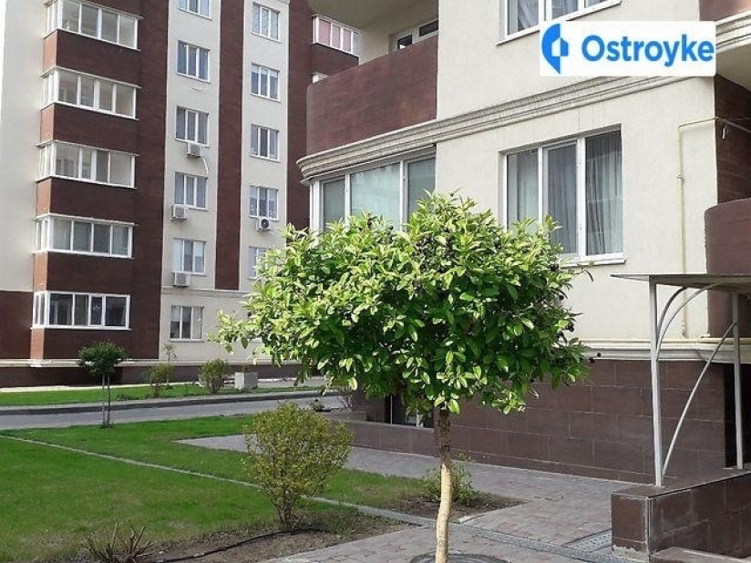 Фото 13 Продажа Квартир 