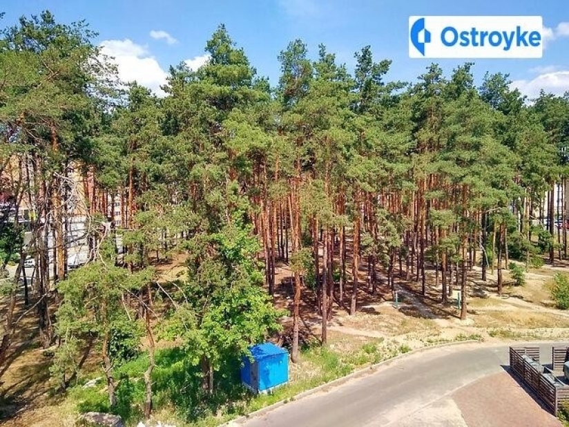 Фото 8 Продажа Квартир Лесная улица