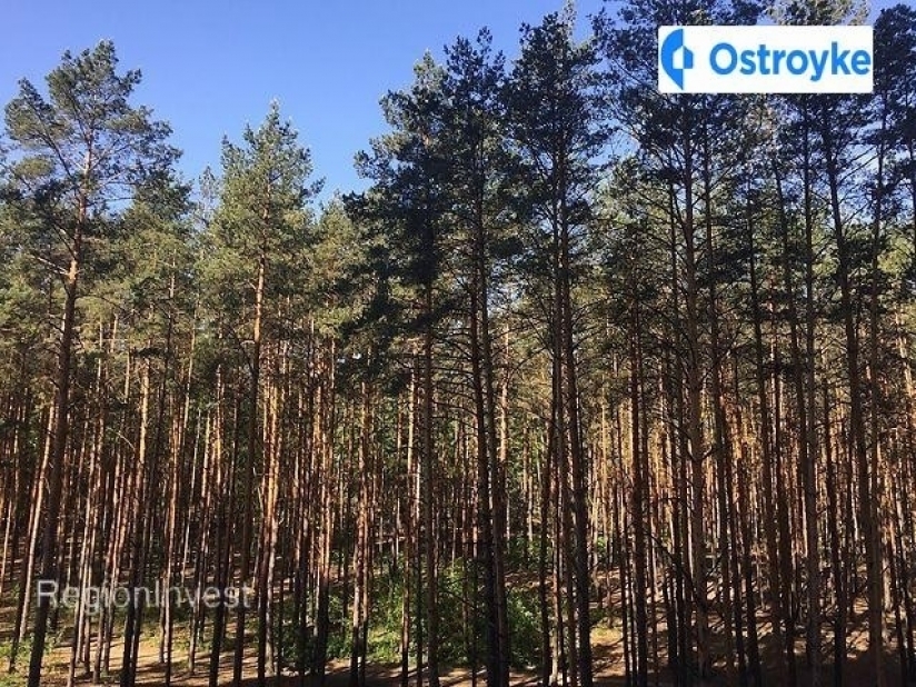 Фото 2 Продажа Квартир 