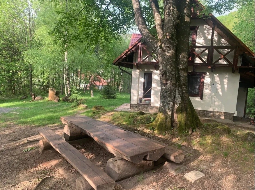 Фото 4 Продажа Квартир Котедж під лісом в с. Синяк