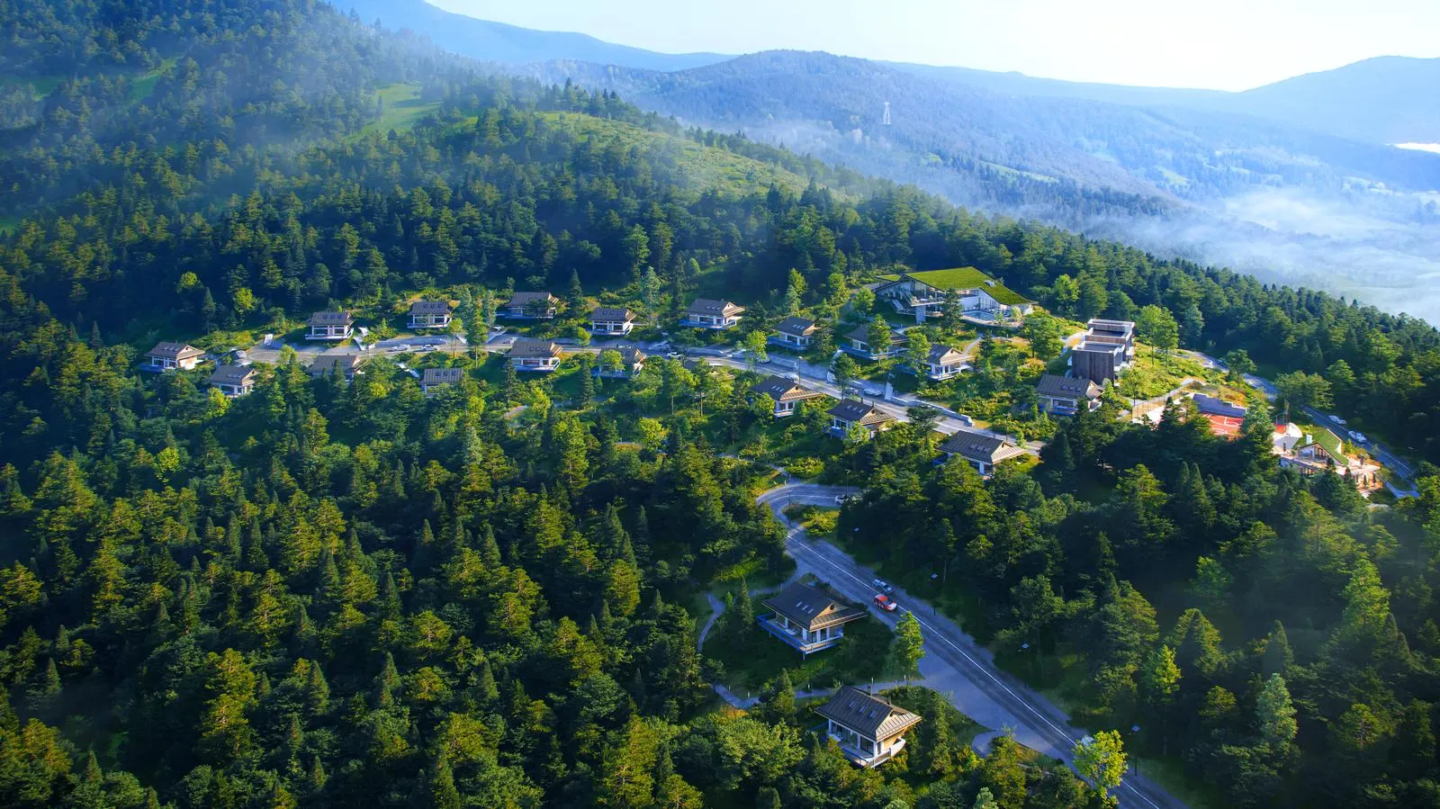 КМ Горицвіт