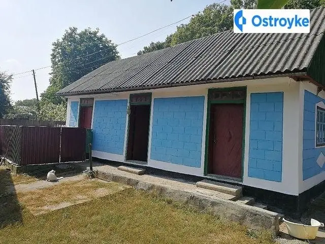 Продаж будинку, 100 м², Ладижин — фото 5