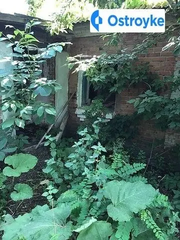 Зарiчна