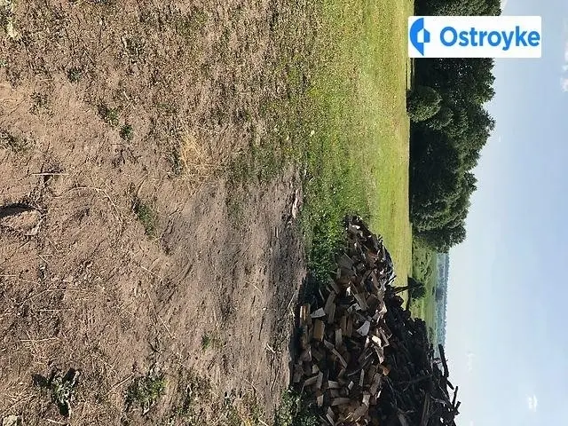 Зарiчна — фото 3