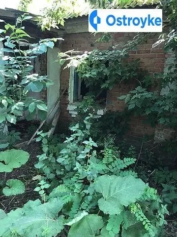Зарiчна — фото 2