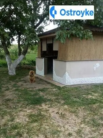 Продаж будинку, 60 м², Мукачево
