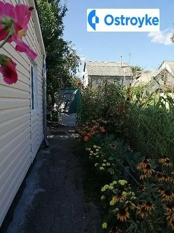 С.Панасюка — фото 3