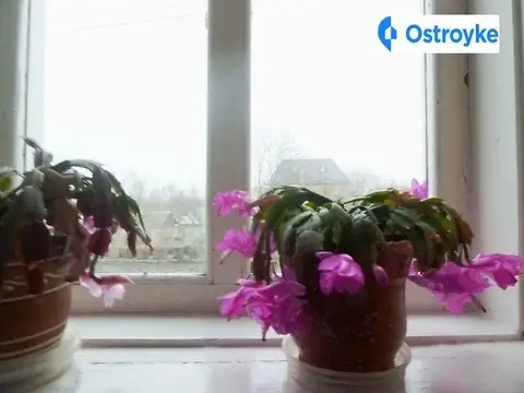 Шишкаровская улица