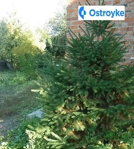 Шишкаровская улица — фото 4