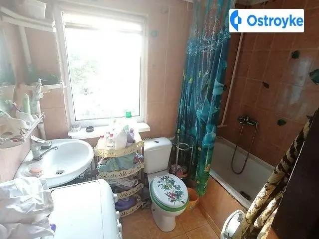 Продаж будинку, 150 м², Царичанка — фото 2