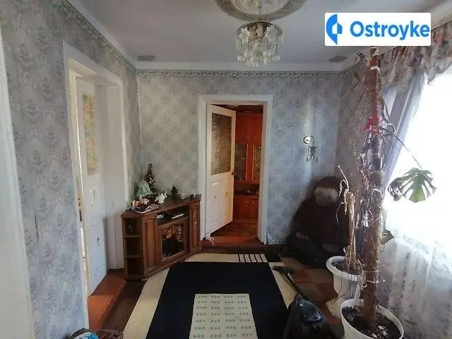 Продаж будинку, 150 м², Царичанка — фото 3