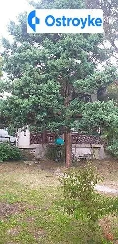 Продаж будинку, 50 м², Пустомити — фото 2