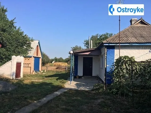 Зелена — фото 1
