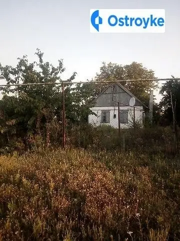 Центральна