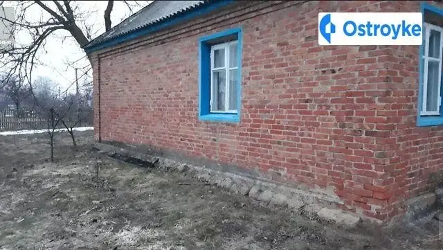 Стрелькика 10 — фото 2