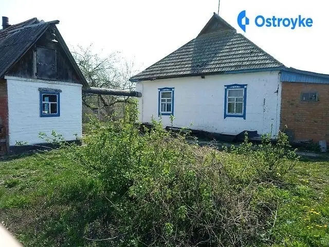 Продаж будинку, 62 м², Лохвиця — фото 3