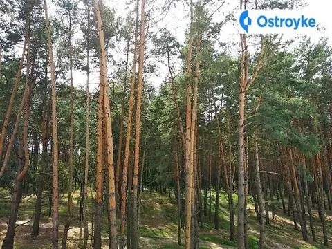 2-комнатная квартира, 60 м², вул. Курська, Ирпень