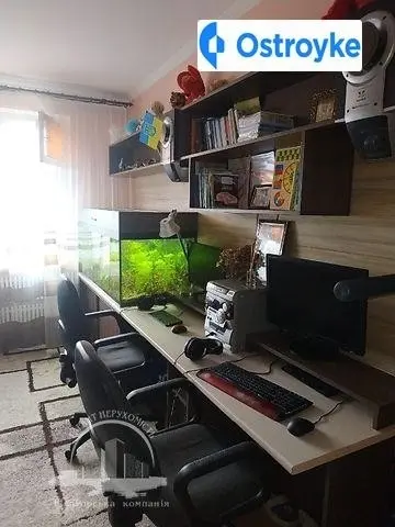 Дана — фото 3