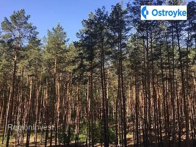 Продаж 1-кімнатної квартири, 43 м², Ірпінь — фото 2
