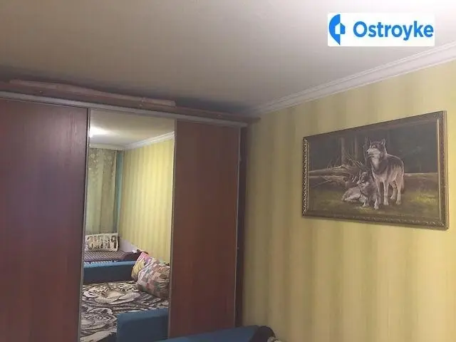 Олеся Гончара — фото 5