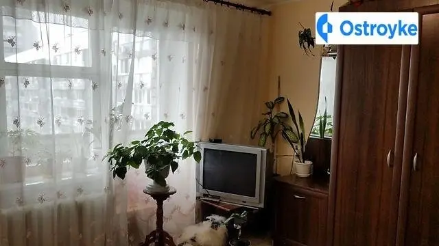Припортова — фото 5