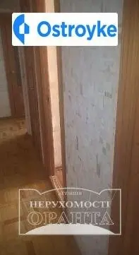 Петлюры Симона бульвар — фото 3