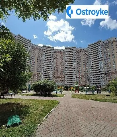 Олени Пчілки улица — фото 2