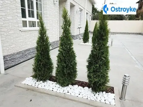 4-комнатная дом, 120 м², Одесса