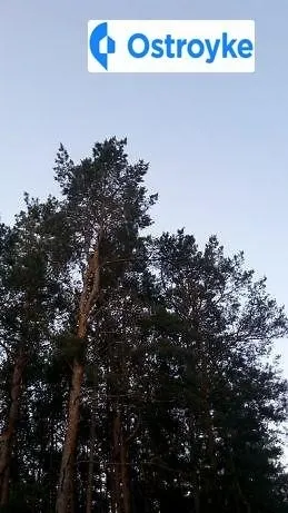 Калиновая улица — фото 1