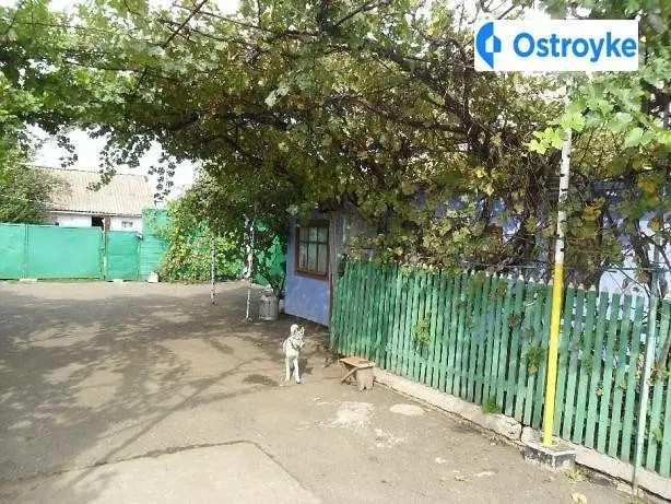 Продаж будинку, 50 м², Снігурівка — фото 2