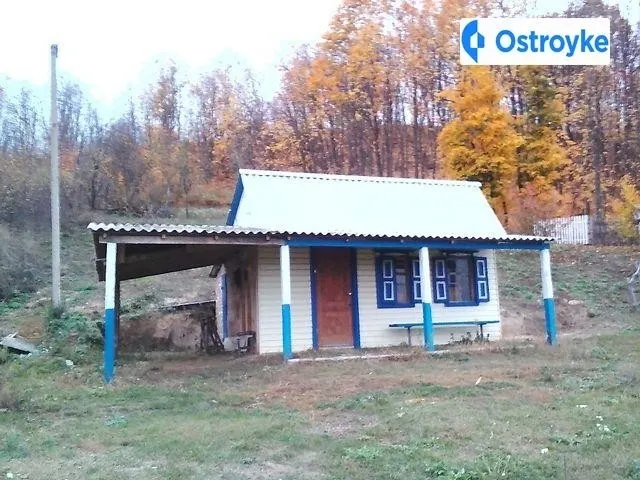 Подметянская — фото 1