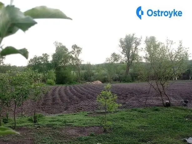Продаж будинку, 160 м², Липова Долина — фото 3