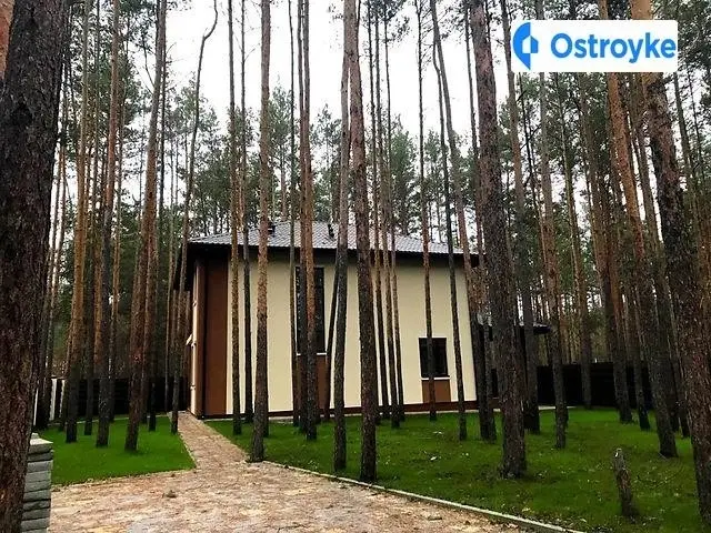 Продаж будинку, 140 м², Буча — фото 2