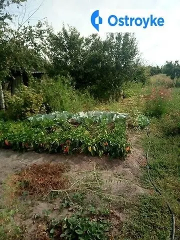 Жихорская улица — фото 5