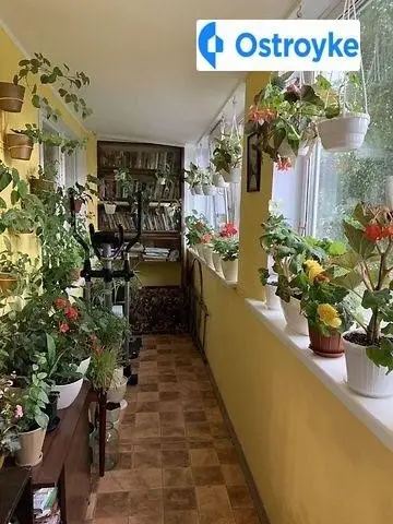 1-комнатная квартира, 36 м², вул. Пролетарська, 2, Белая Церковь