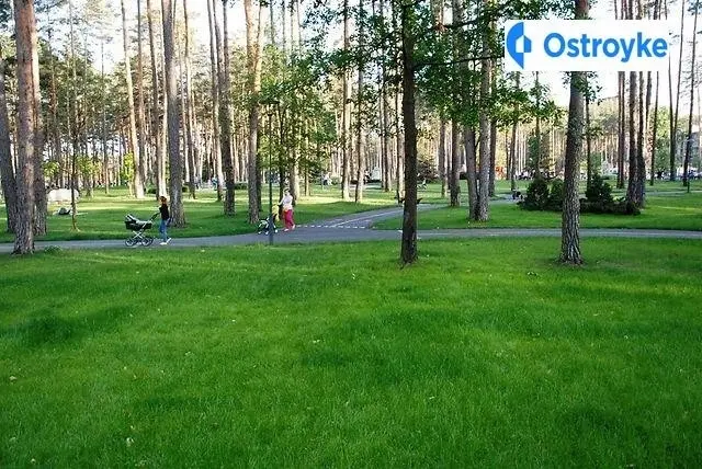 Чехова улица — фото 4