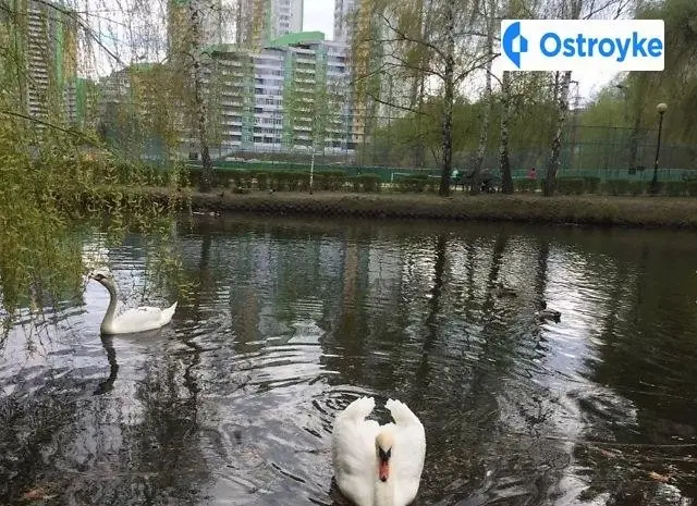 Вышгородская улица — фото 3