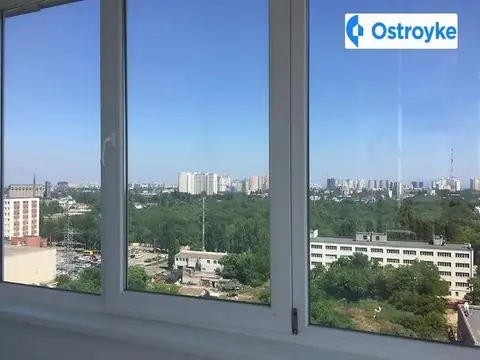 Руставели шота