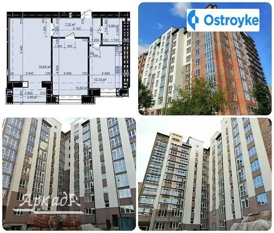 Чорновола-Довженка — фото 1