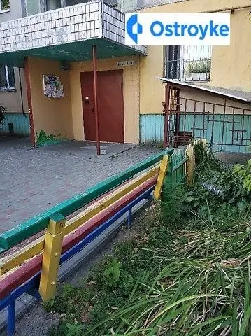 Тараскова — фото 4