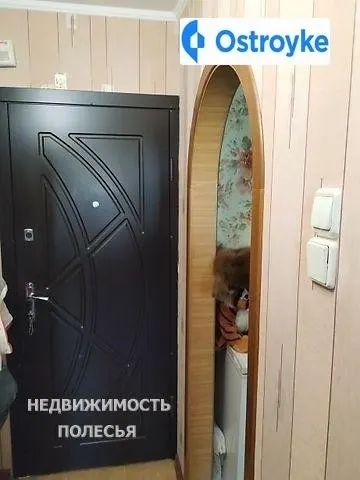 Толстого Льва улица — фото 1