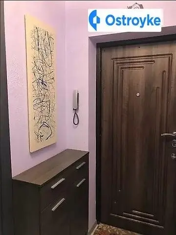 Панаса Мирного улица — фото 4