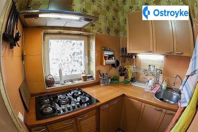 Леся Курбаса — фото 2