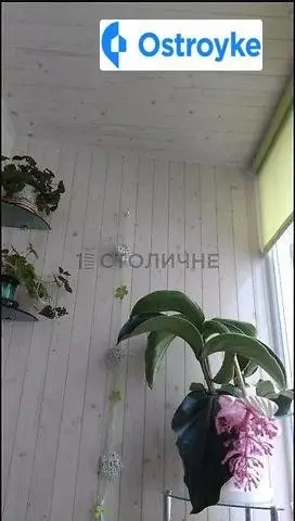 Ярослава Ивашкевича улица — фото 2