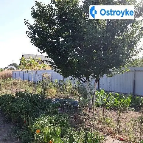 Продаж будинку, 45 м², Бориспіль